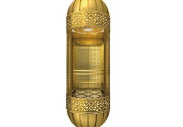 Панорамный лифт Delfar D16018